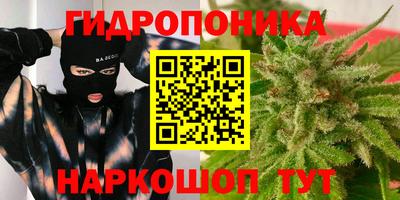 ПСИЛОЦИБИНОВЫЕ ГРИБЫ Среднеуральск