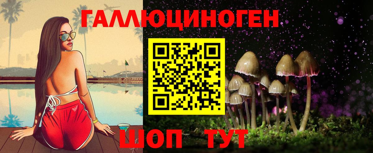 Псилоцибиновые грибы Cubensis Минусинск