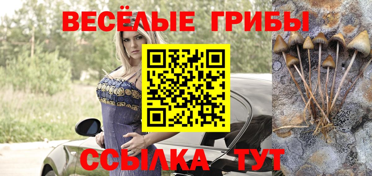 Минусинск  Галлюциногенные грибы мицелий  Псилоцибиновые грибы мухоморы  Вход с VPN 